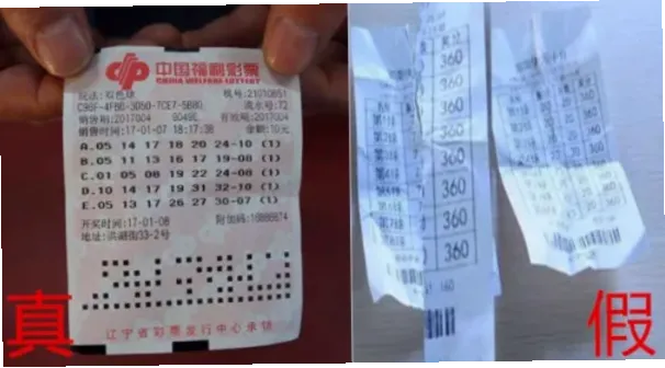 国家体育总局彩票中心官网如何验证彩票真伪？